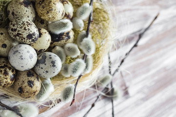 Easter background quail eggs catkins wooden table