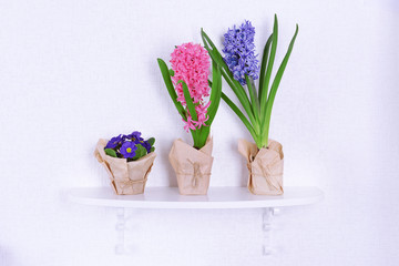 Flower on shelf on white wall background