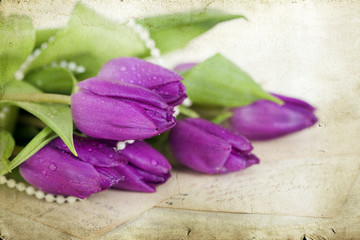 Old love letters and purple tulips