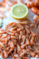 Reastaurant sea food