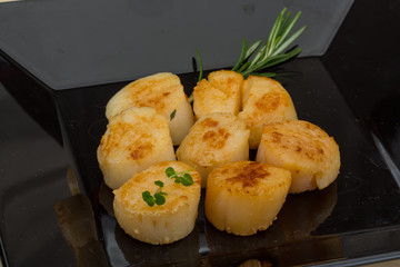 Grilled scallops