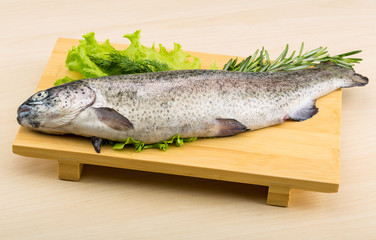 Raw fresh trout