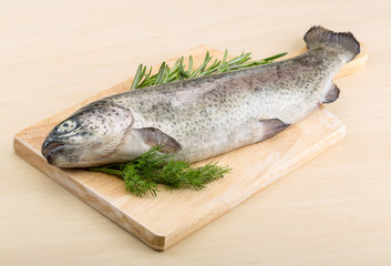 Raw fresh trout