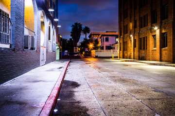 A dark street at night, in Venice Beach, Los Angeles, California
