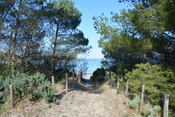 Accès à la plage à Porquerolles