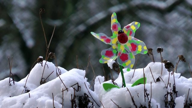 Windrad im Schnee im Fr&uuml;hling