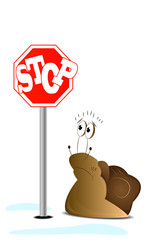 Cartoon wondering snail © zuzoli