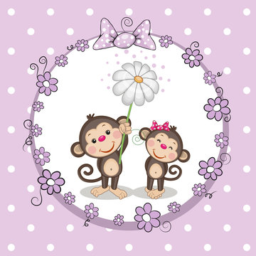 Two Monkeys