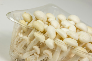 little white mushrooms background