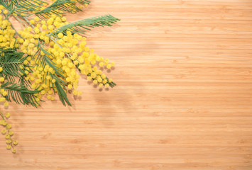 Branch of mimosa on a bamboo table