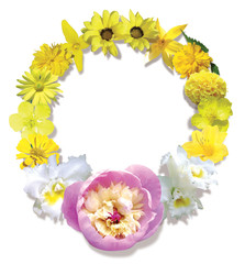 일러스트이미지