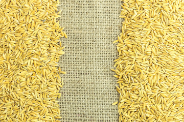 Yellow paddy jasmine rice