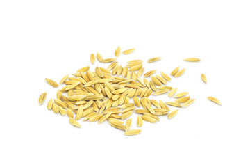 Yellow paddy jasmine rice