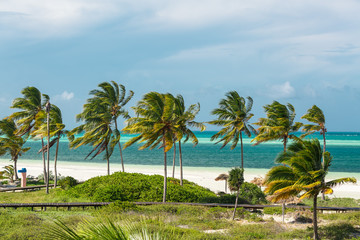 Naklejka premium amazing inviting view of tropical white sand beach and ocean