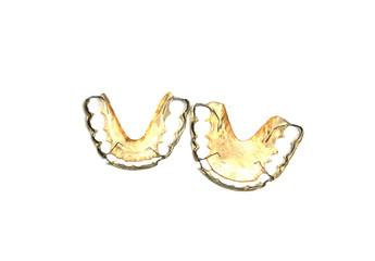 Fototapeta premium Retainer isolate on white background