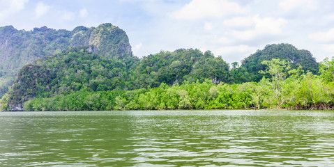The seaside and mangroves forest in Phang Nga bay, Thailand