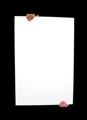 Fototapeta premium 피켓이미지