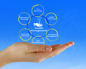 Wealth Management