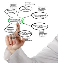 Productivity and Performance
