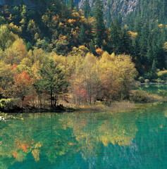 포토시리즈(아시아여행)