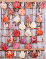 Sea shells. Tropical background. Seamless pattern for a design © freeskyline