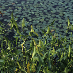 포토시리즈(아시아여행)