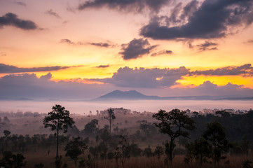 sunrise in savanah meadow