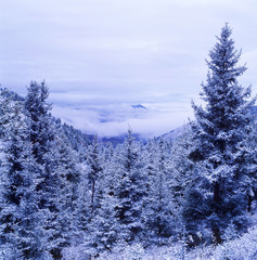 포토시리즈(아시아여행)