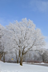 einen sch&ouml;nen Tag im Winter