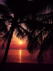 закат в тае