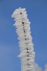 vereiste Zweige, Schnee