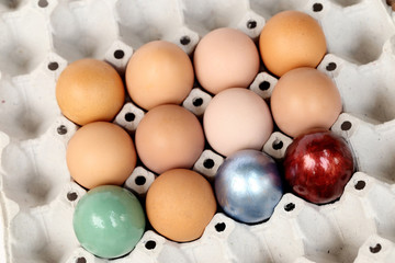 Happy easter. Colorful easter eggs in paper tray.