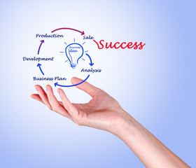 Obraz premium From business idea to success