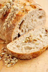 Close-up on traditional bread on wooden board