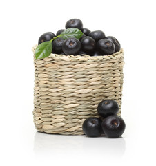Berries in bowl isolated