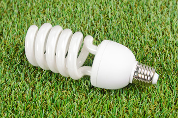 Energy saving light bulbs on green grass background