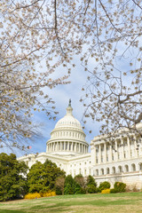 Washington DC, United States Capitol Building in Spring