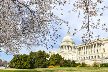 Washington DC, United States Capitol Building in Spring