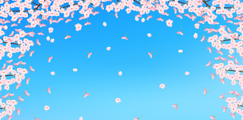 桜　花　背景