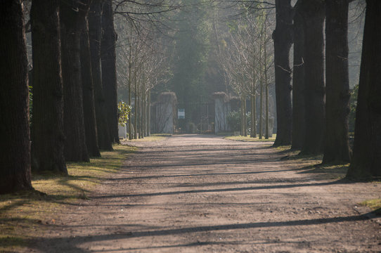 Friedhofsallee #0451