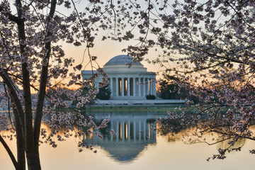 Washington DC - Thomas Jefferson Memorial in Spring