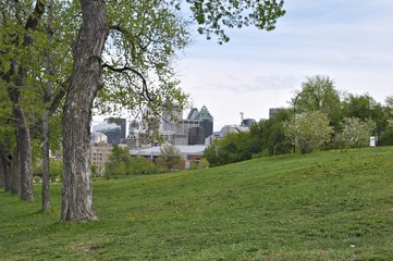 Spring has come at around McGill University