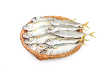 fresh mackerel fish in basket on white background