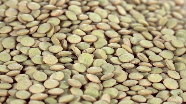 Brown Lentils (not loopable)