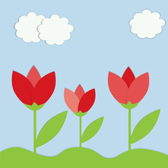 tulips