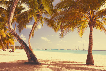 Art beautiful retro seaside view background