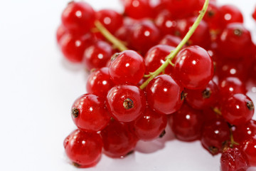 Red currant