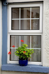 Fototapeta na wymiar Bright red geraniums on windowsill