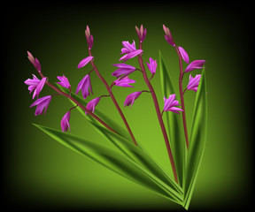 Naklejka premium group of wild pink flowers on dark green background