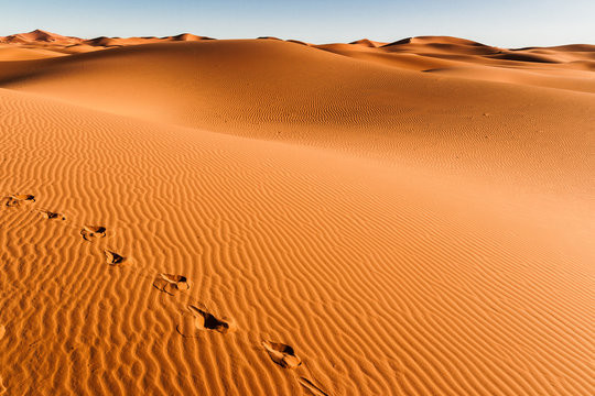 Sand Dunes in the Sahara Desert in Morocco